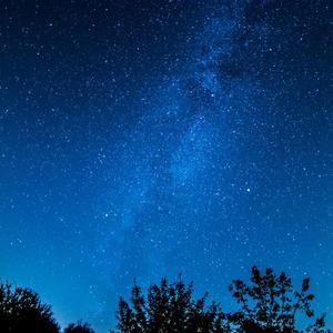 公主的欲奴h四根双龙np视频
